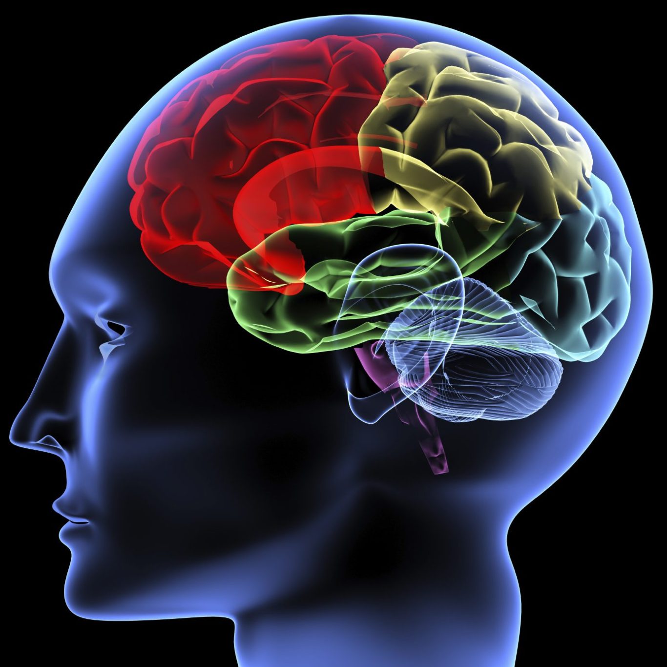 Polyvagal Theorie Psychotherapie, Aufdeckende Therapie, Abreaktionen, Entladung  Nervensystem, Auflösende Hypnose, Desensibilisierung